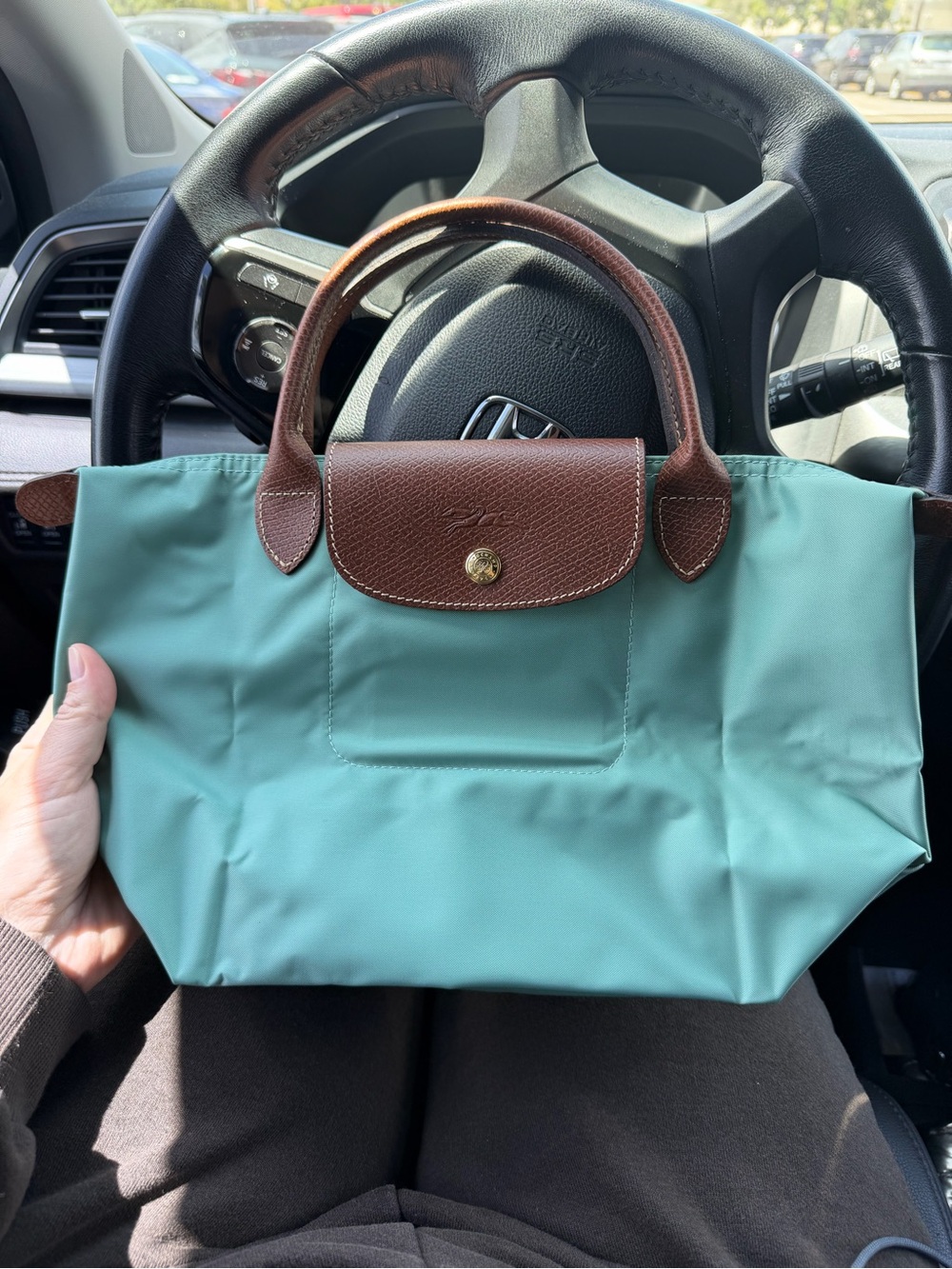 Longchamp Small Tote in Celadon Color🩵